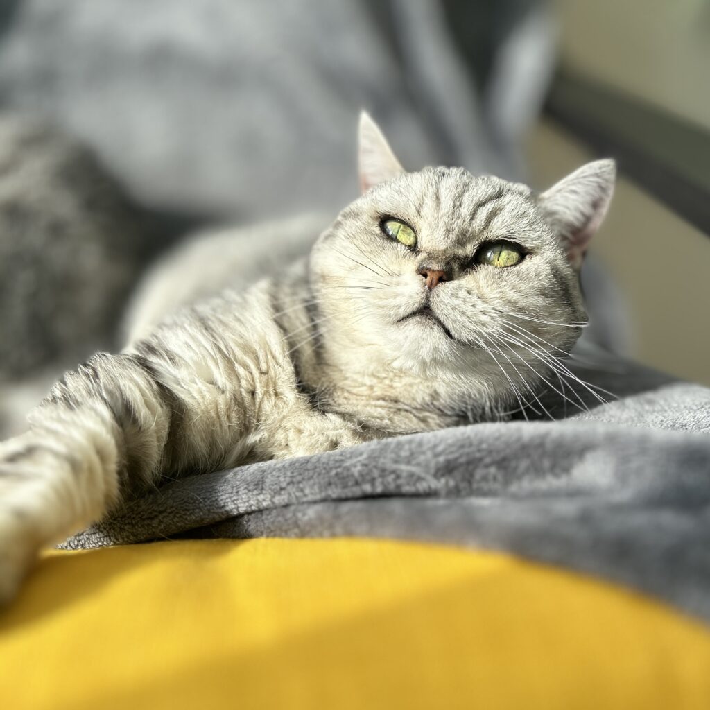 Amber