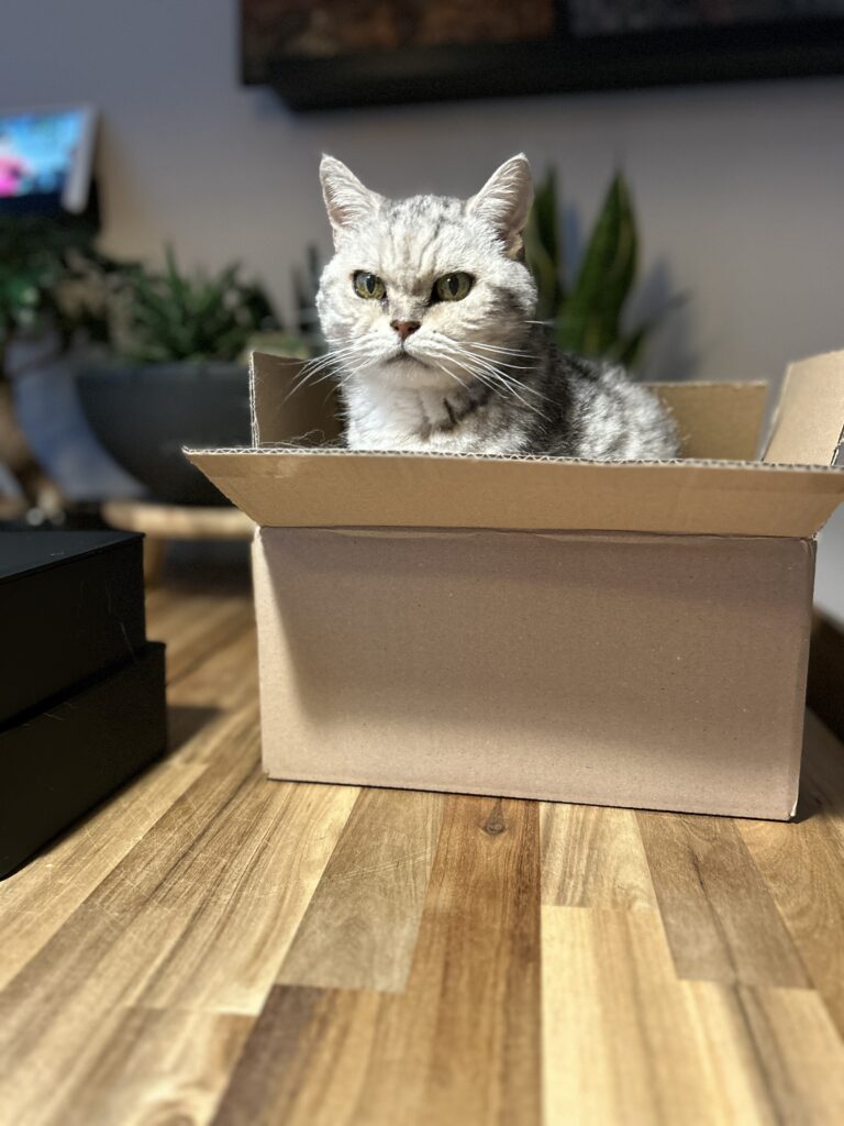 Amber
