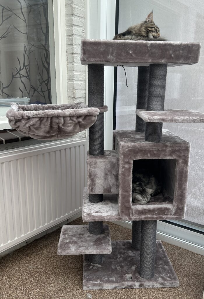 Nieuwe kattenpaal