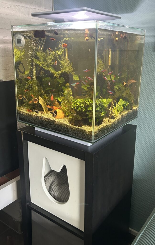 Aquarium
