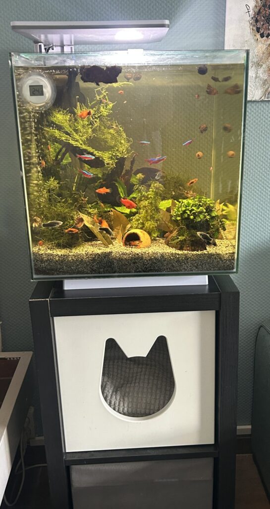 Aquarium