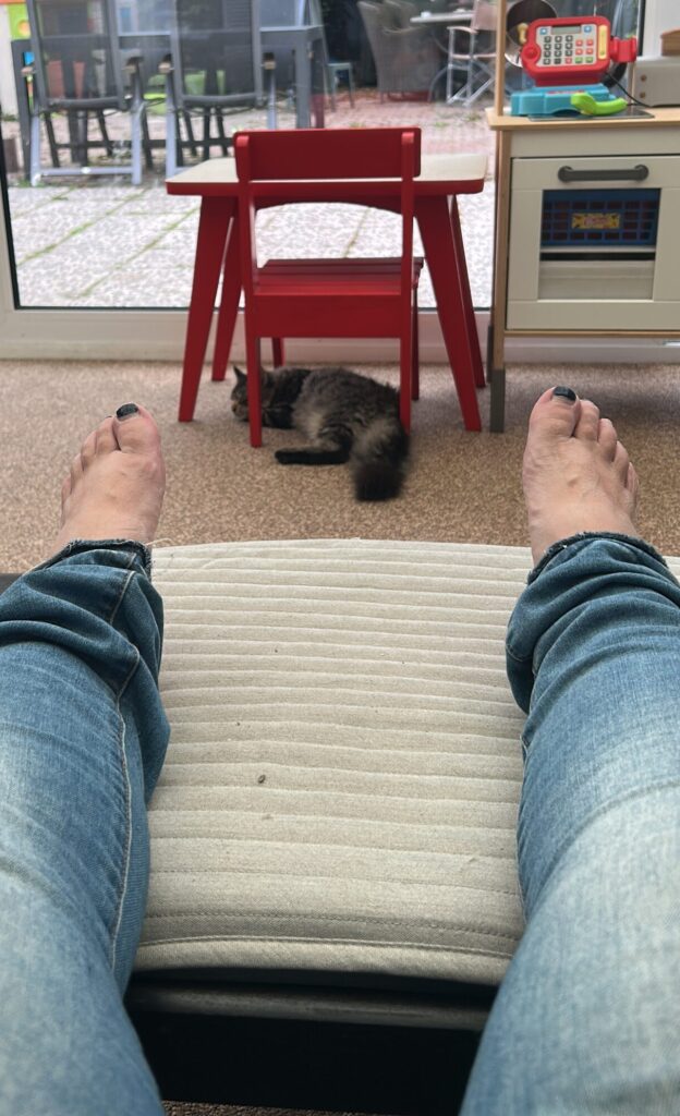 Castratie van kitten Panter - roesje uitslapen