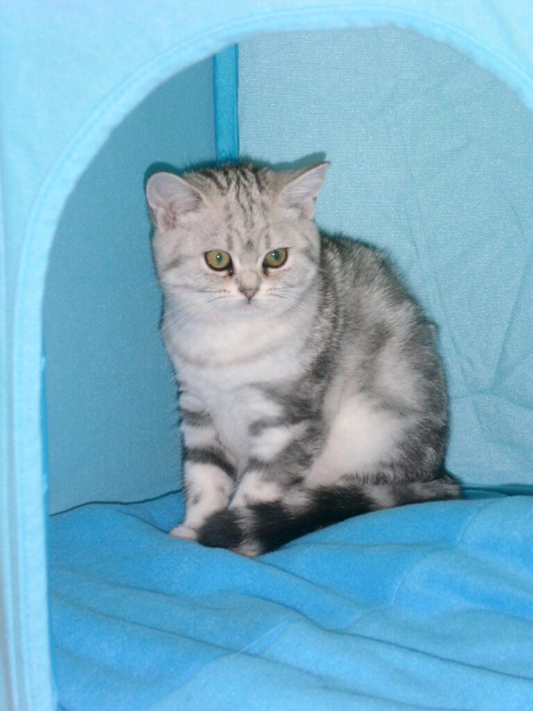 MooiePoes Jenna