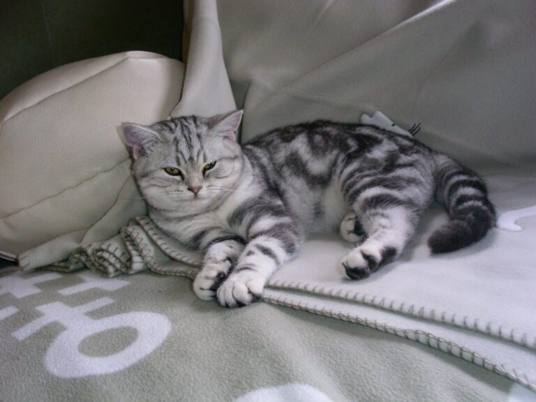MooiePoes Jenna