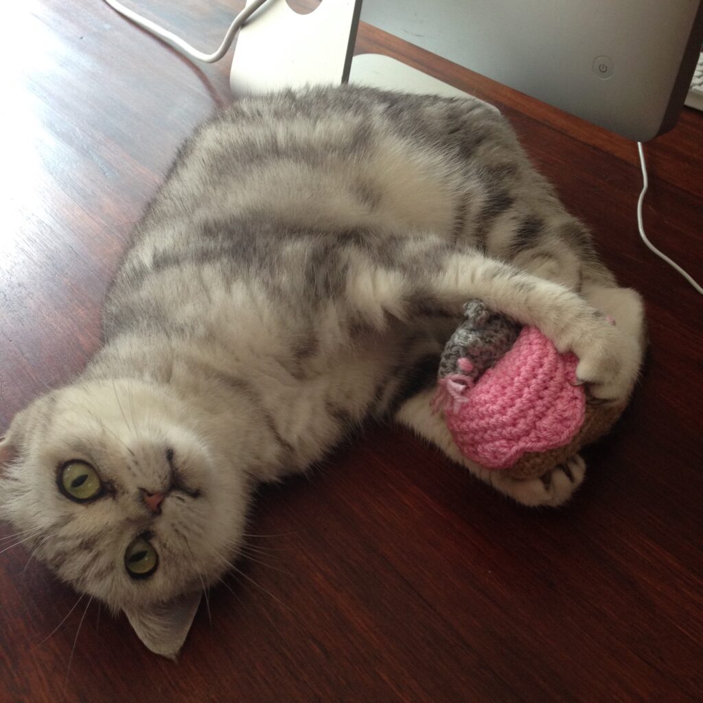 MooiePoes Jenna