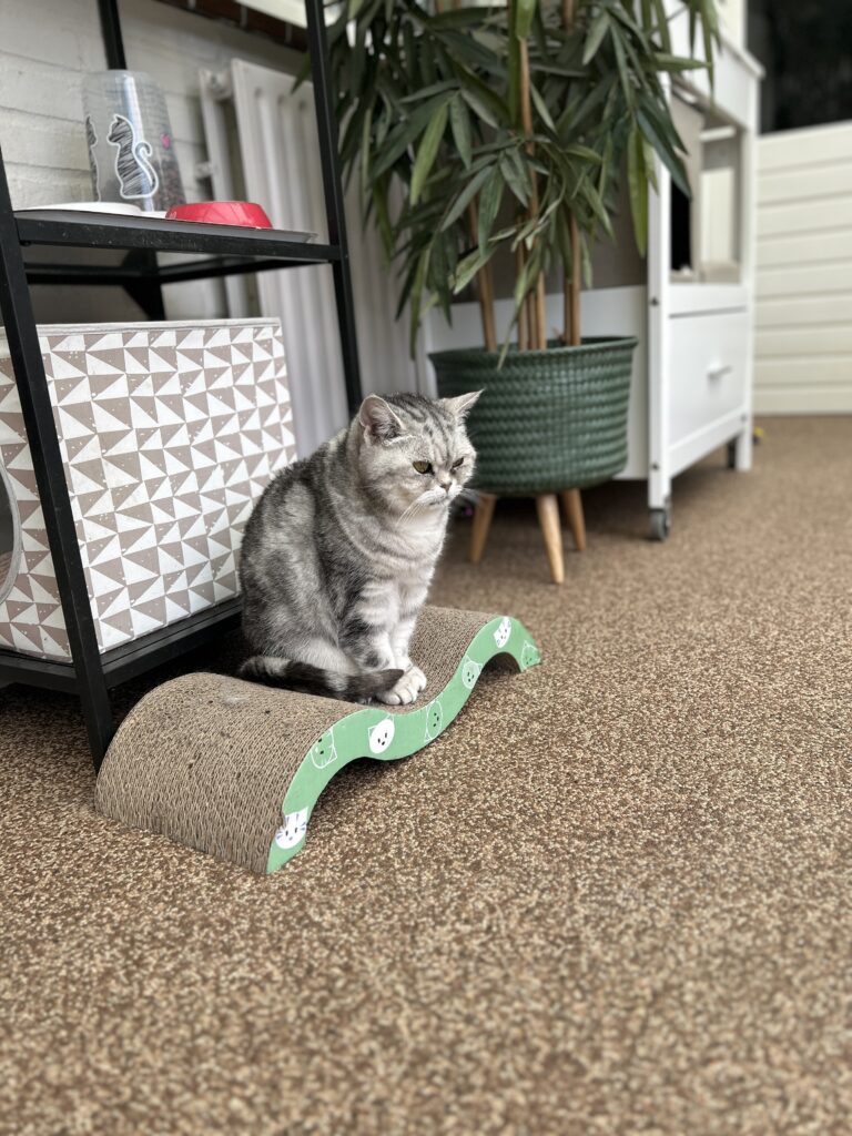MooiePoes Jenna