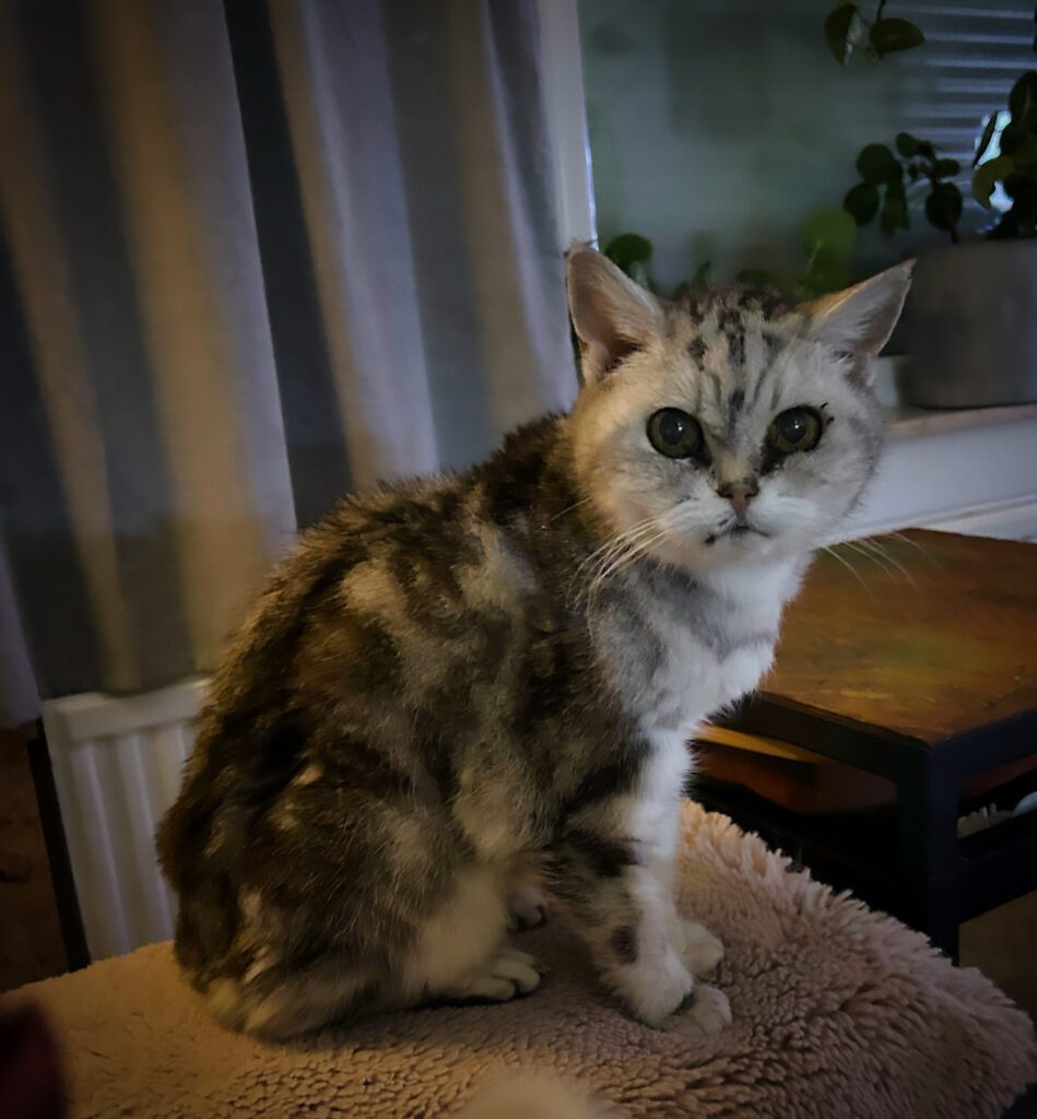 MooiePoes Jenna