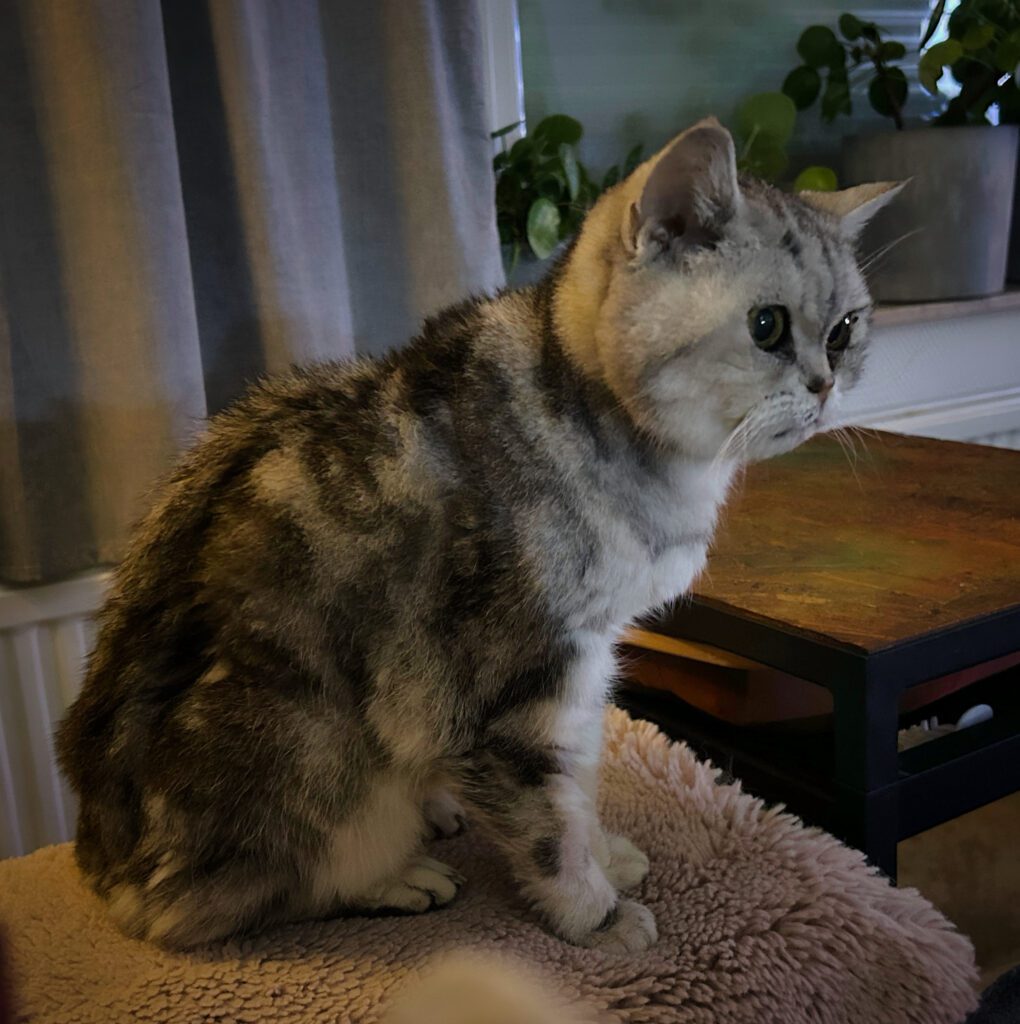 MooiePoes Jenna