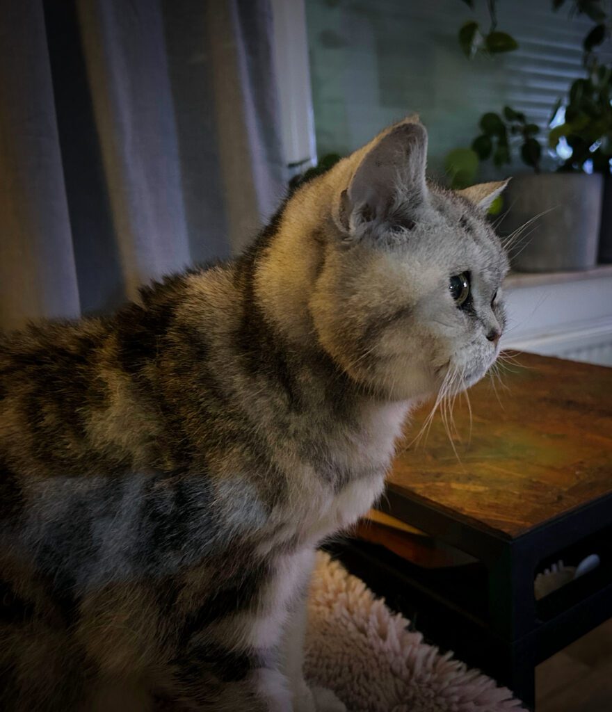MooiePoes Jenna