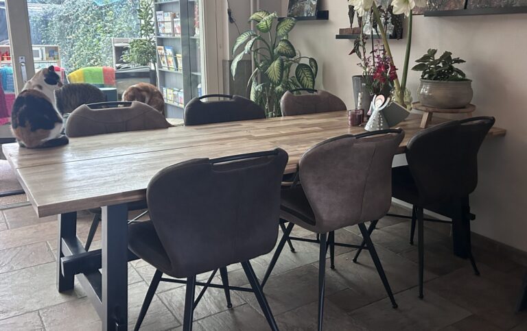 Nieuwe eetkamerstoelen