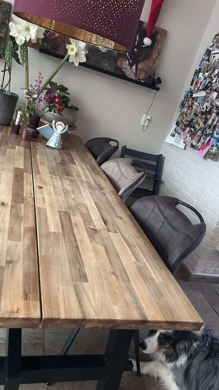 Nieuwe eetkamerstoelen