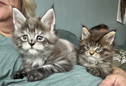 250525pukpanter01 Puk en Panter slapen samen met mij de race van Max uit