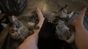 De twee ukkies op de bank bij mij De twee ukkies op de bank bij mij